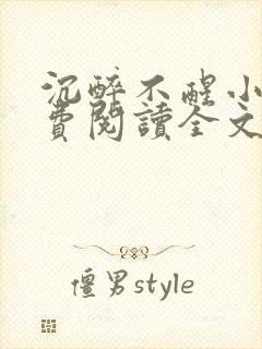 沉醉不醒小说免费阅读全文无弹窗封面