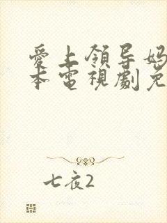 爱上领导妈妈日本电视剧免费观看
