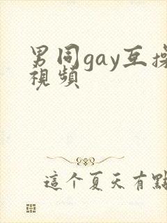 男同gay互操视频