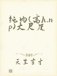 纯肉(高h.np)大尺度封面