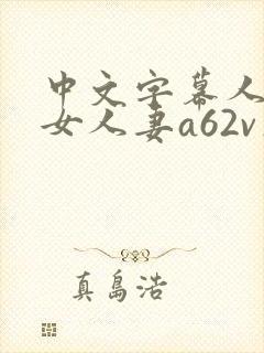 中文字幕人妻熟女人妻a62v在线封面