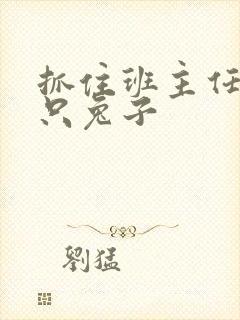 抓住班主任的两只兔子