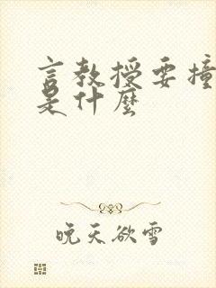 言教授要撞坏了是什么