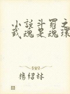 小说斗罗之我的武魂是魂环