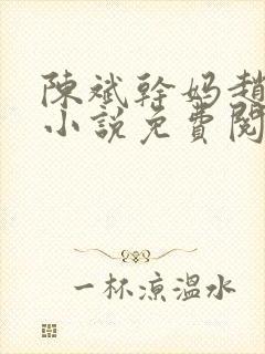 陈斌干妈赵心媚小说免费阅读封面