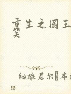 重生之国王的微笑