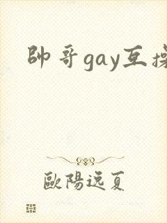 帅哥gay互操