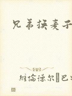 兄弟换麦子4封面