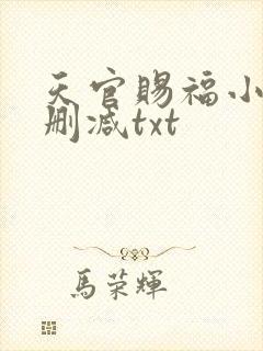 天官赐福小说无删减txt