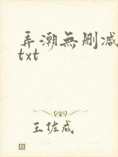 弄潮无删减精校txt