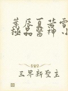 叶辰夏若雪都市极品医神 小说