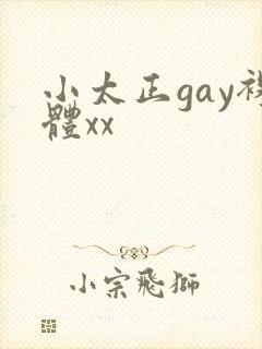 小太正gay裸体xx