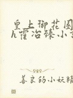 皇上御花园hlh霍冶臻小说