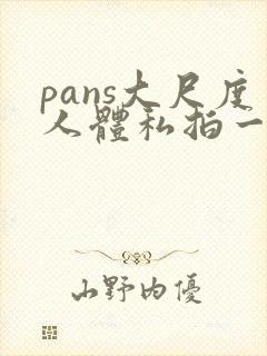pans大尺度人体私拍一区
