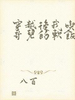 穿越后我吃到了哥儿的软饭炉山灰