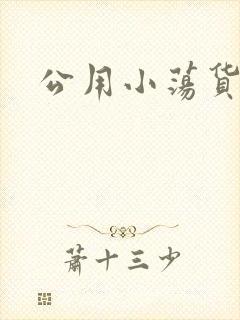 公用小荡货芊芊封面