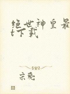 绝世神皇最txt下载