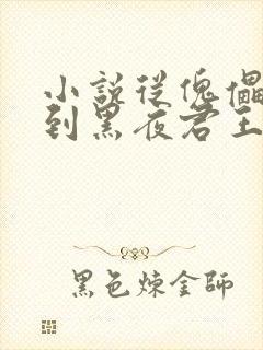 小说从傀儡皇子到黑夜君王全文