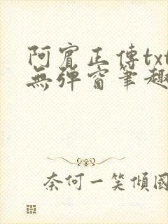 阿宾正传txt无弹窗笔趣阁