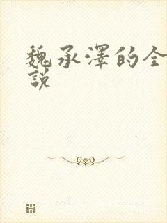 魏承泽的全部小说