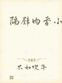 隔壁肉香小说