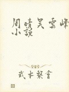 周晴吴云峰李磊小说封面