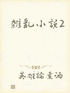 杂乱小说2