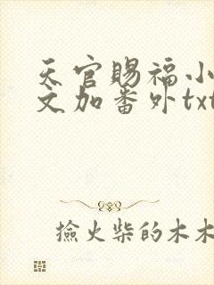 天官赐福小说全文加番外txt