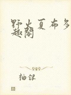 野火夏布多昂笔趣阁封面