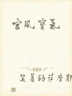 官风宝气封面