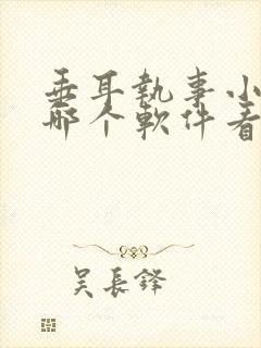 垂耳执事小说在哪个软件看