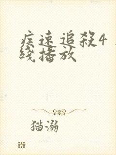 疾速追杀4 在线播放