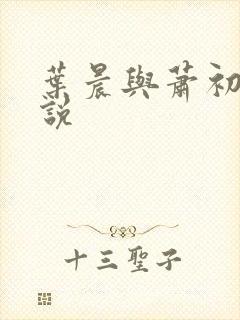 叶晨与萧初然小说