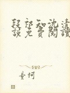 段祁知沈清鸢小说免费阅读最新章节