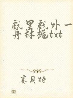 戏里戏外一叶孤舟林栀txt