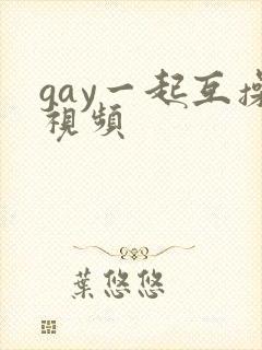gay一起互操视频