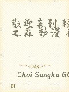 欢迎来到 精灵之森 动漫 在线播放封面