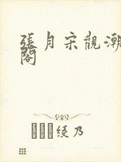 张月宋观潮笔趣阁