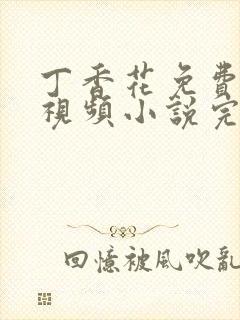 丁香花免费高清视频小说完整