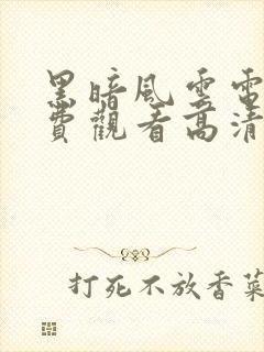 黑暗风云电影免费观看高清