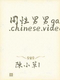 同性男男gay.chinese.videos封面