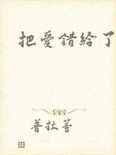 把爱错给了你