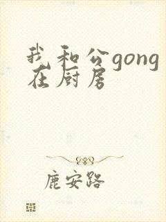 我和公gong在厨房