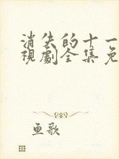 消失的十一层电视剧全集免费观看封面