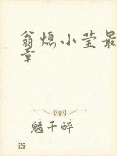 翁熄小莹最新节章