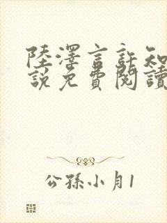 陆泽言许知夏小说免费阅读最新章节