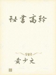秘书高干
