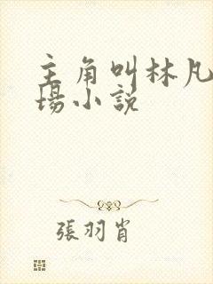 主角叫林凡的官场小说封面