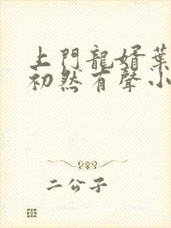 上门龙婿叶辰萧初然有声小说