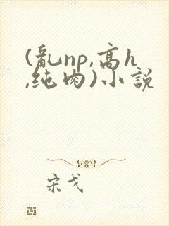 (乱np,高h,纯肉)小说封面